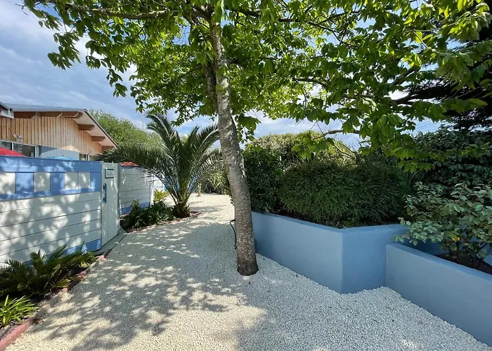 Le Banc D'arguin 拉特斯特德布赫