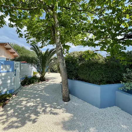 Le Banc D'arguin 라테스트드뷔크