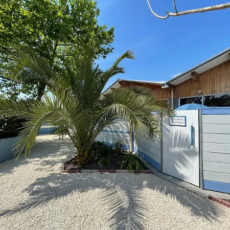 Le Banc D'arguin * 라테스트드뷔크