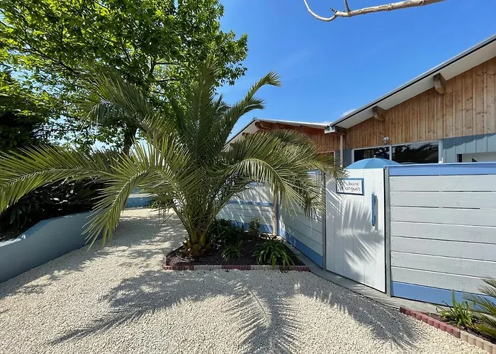 Le Banc D'arguin * La Teste-de-Buch